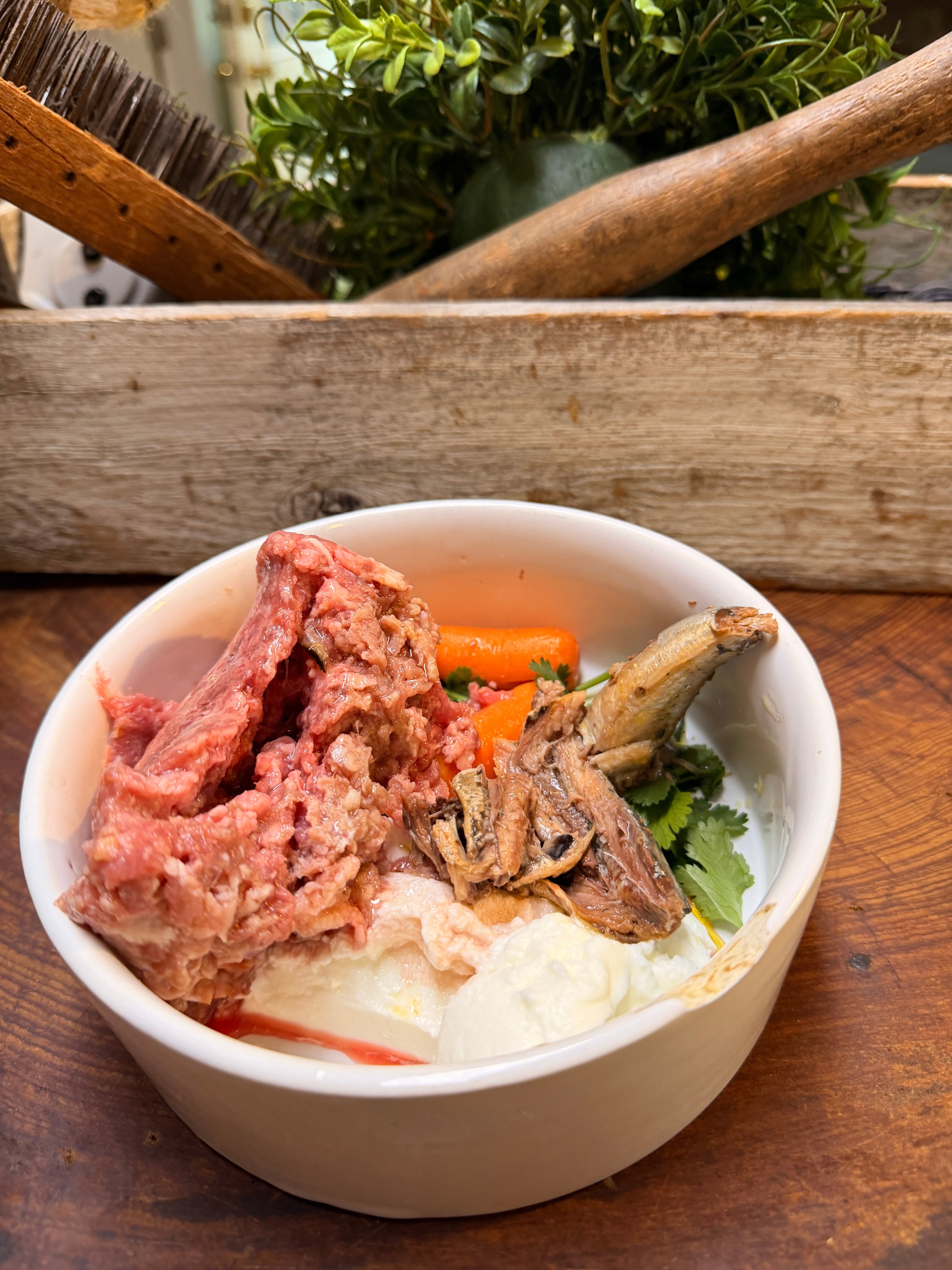 Raw dog food bowl with ground meat, raw meaty bones, sardines, egg, and whole-food toppings used for supplementing a raw diet naturally