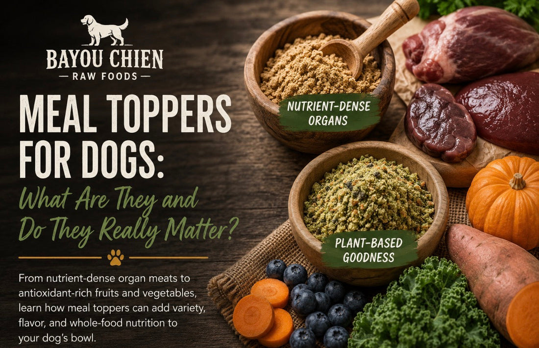Bayou Chien Raw Foods meal toppers for dogs featuring freeze-dried organ and vegetable blends made from whole-food ingredients for canine nutrition.