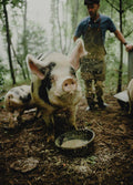 Le Boucherie™ – Raw Pork Recipe