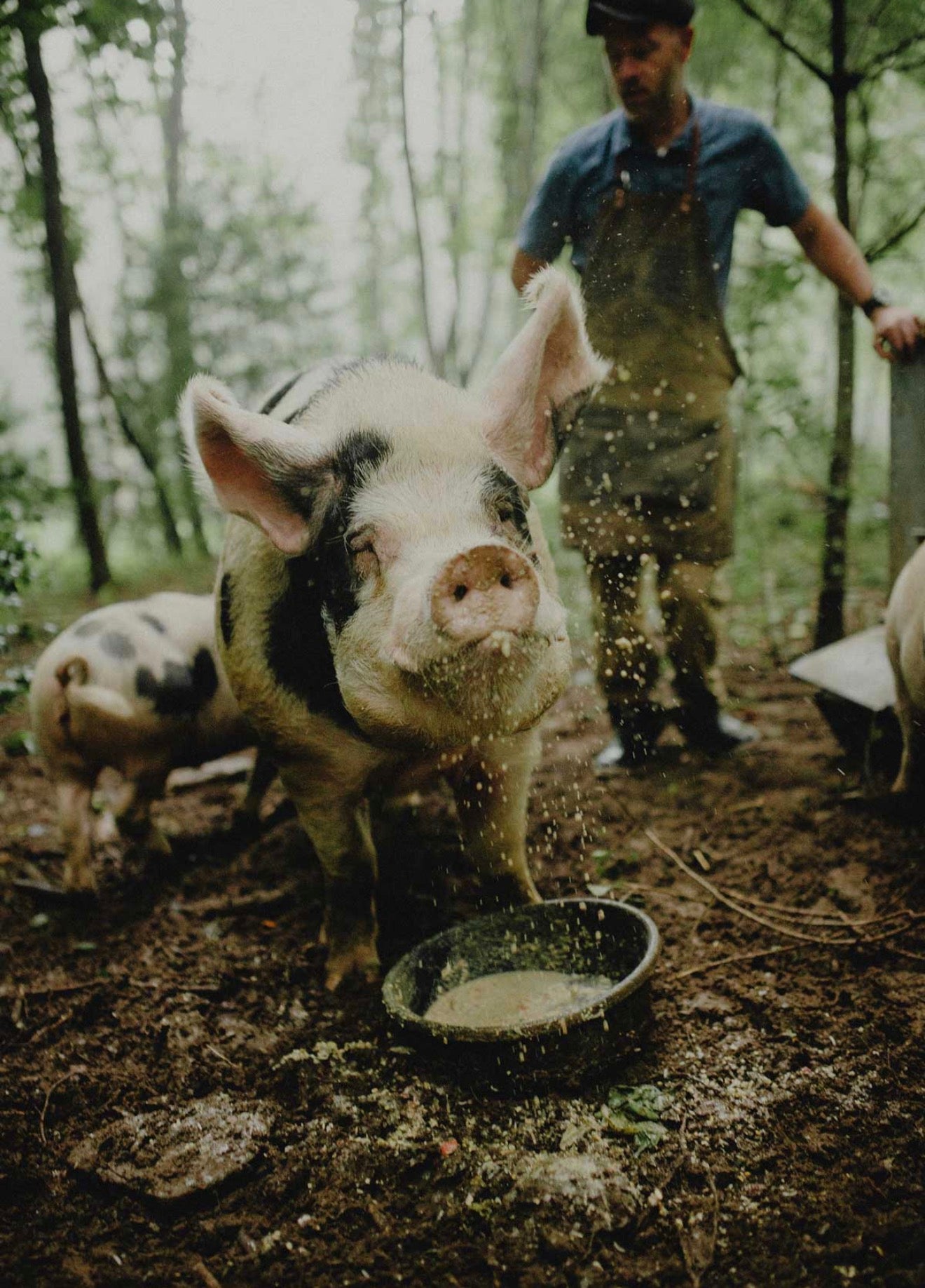 Le Boucherie™ – Raw Pork Recipe