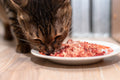 Cat eating from a plate of food on a wooden floor
